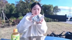 预览图4
