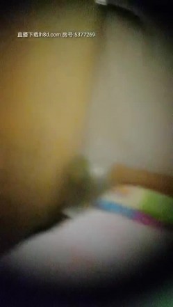 预览图9