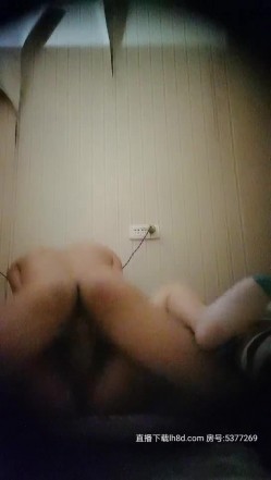 预览图13