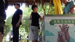 预览图1