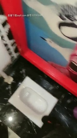 预览图10