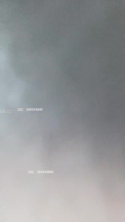 预览图10