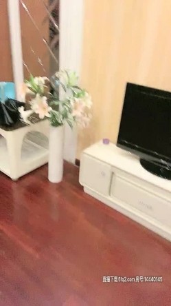 预览图8