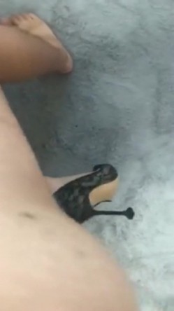 预览图16