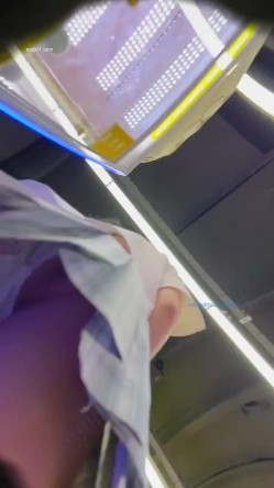 预览图15