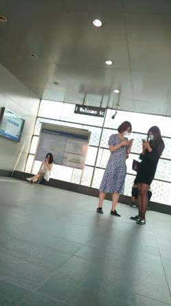 预览图12