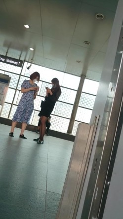 预览图15