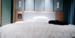 预览图4