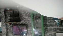 预览图5