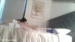 预览图14