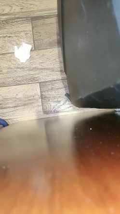 预览图11