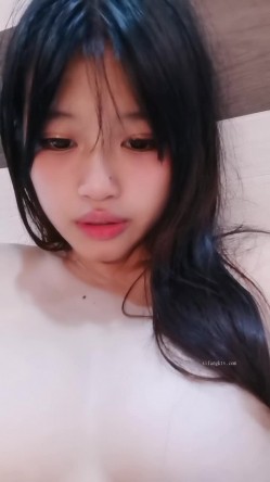 预览图13