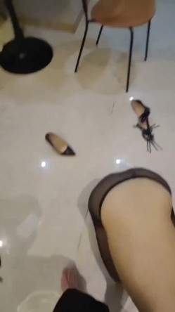 预览图14