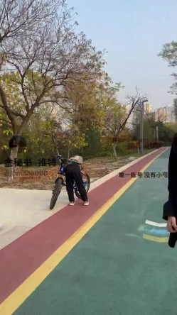 预览图12