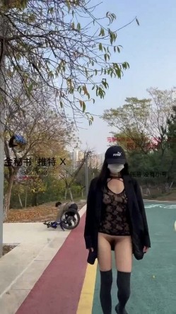 预览图15