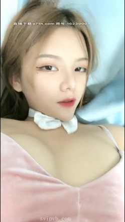 预览图15