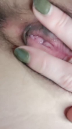 预览图4