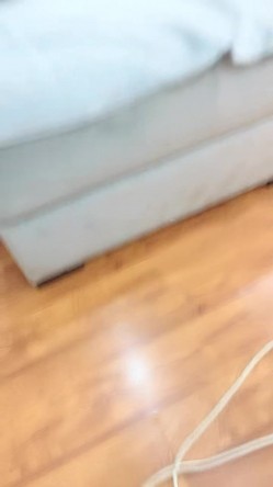 预览图7