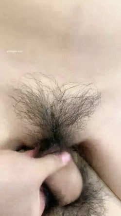 预览图6