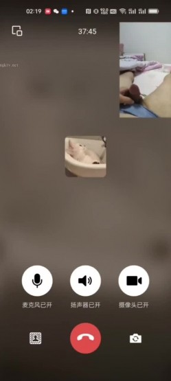 预览图4