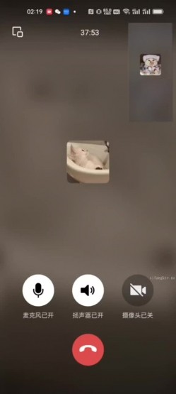 预览图5