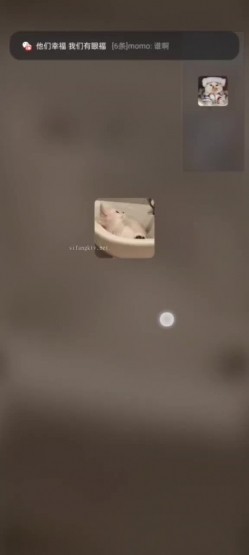 预览图8