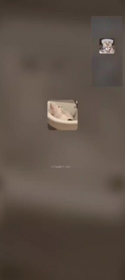 预览图12