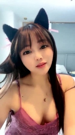 预览图4