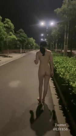 预览图4