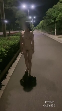预览图5