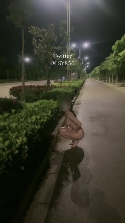 预览图12