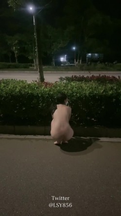 预览图14