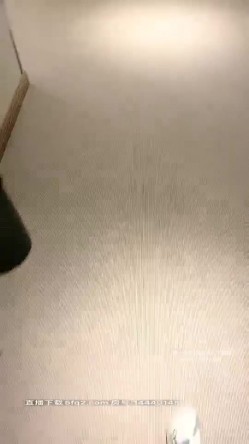 预览图9