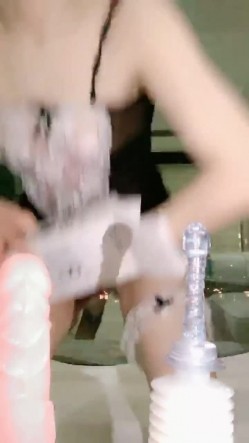 预览图4