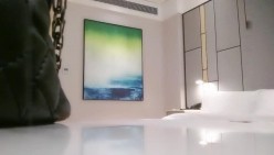 预览图1