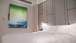 预览图4