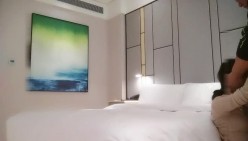 预览图6