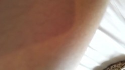 预览图7