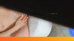 预览图6