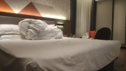 预览图8