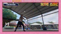 预览图4
