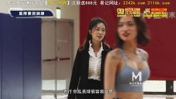 预览图6
