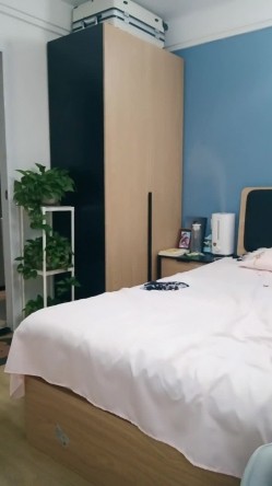 预览图11