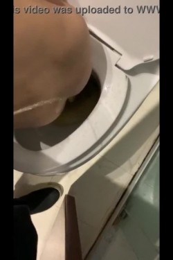 预览图11