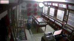 预览图4