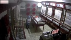 预览图9