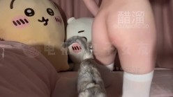预览图14