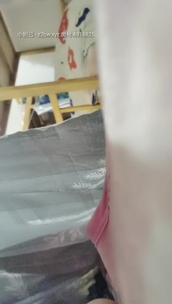 预览图3