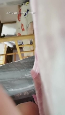 预览图4