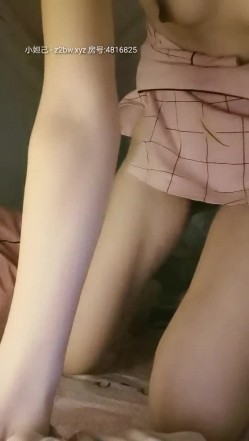 预览图6